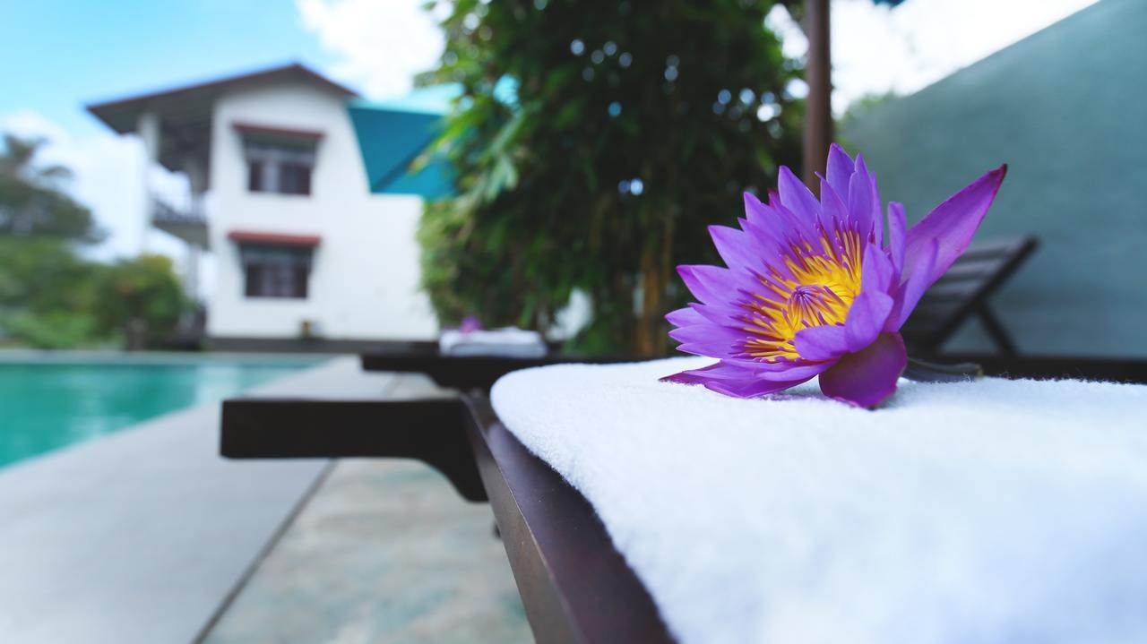 Kaminrich Cottage Matara Exteriér fotografie
