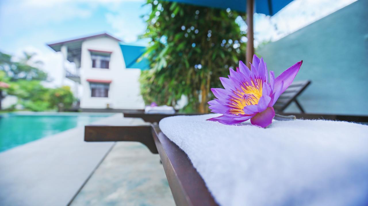 Kaminrich Cottage Matara Exteriér fotografie